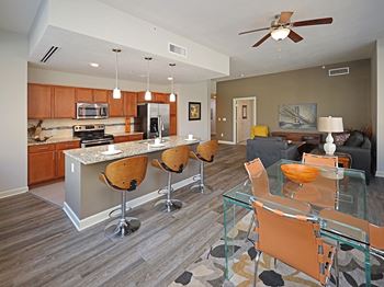Updated Model Suite with All New LVT Hard Surface Flooring at Residences at 1717 Cleveland OH - Living Area